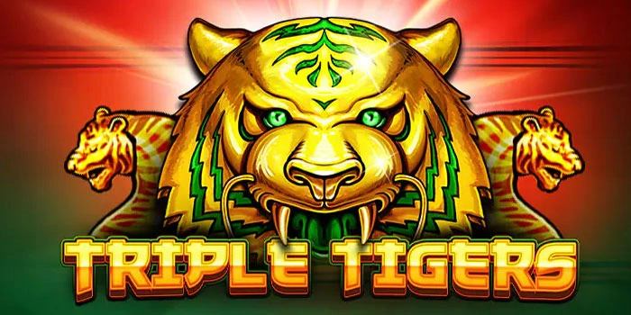 Cara Menaklukkan Big Win Slot Triple Tigers Pakai Strategi Cerdas